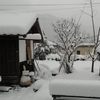雪ばかり