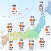 寒の戻りで風が冷たい一日