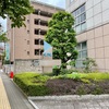 古巣に10年ぶりくらいに潜入