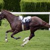 ここ１週間の馬券結果、昨日万馬券的中でブログ回収率153％☆万馬券当たったからバイト1日休もう( ´ ▽ ` )ﾉ