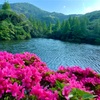 スケベ虫注意報が発令中って？