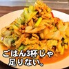 "【やみつきキャベツ】とまらない！鶏キャベツの焦がし味噌炒め/人気定番おかず主菜、簡単節約、作り置き大量消費ダイエットレシピ" を YouTube で見る