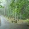 小根山森林公園へのみち