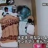 選挙で統一協会問題を問え