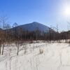 【栃木】冬の日光戦場ヶ原・小田代ヶ原をハイキング