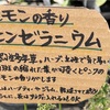 レモンゼラニウムと何かと黒豆の枝豆と、6月庭の様子