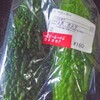  島野菜＃０３ ゴーヤー(ニガウリ)，モロヘイヤ