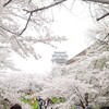 岡山・美作地方　桜の旅（その１）