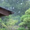 日本の自然資源の豊かさとその特性