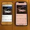 iPhone 11 Pro（その2）