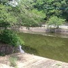 花園池→立岡池の繰り返し