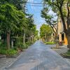 爽快な秋晴れと花火大会の話題