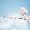 お金が貯まらない時にできること