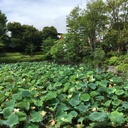 今日も良い事あった気がする