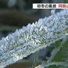 初冬の風景広がる　阿蘇で初霜