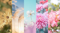秋に撮りたい花５選 – 花の魅力を引き出す色彩・光・構図のポイント