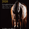 【セレクションセール2026(Selection Sale)】は本日7/20(月)から2日間開催