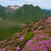 花より温泉、の平治岳登山 2010.6.10