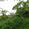 六甲山系）阪神芦屋駅→会下山遺跡→蛙岩→金鳥山→保久良神社→JR摂津本山駅。