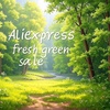 Aliexpress 新緑セール情報2025