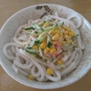 簡単サラダうどん