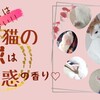 嗅がずにはいられない?!猫の肉球は魅惑の香り♡