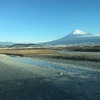 1/15 出張 今日の富士山