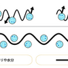 眩しさ感じる季節におススメかな