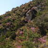 2010年4月17日(土)姫路・山神社へクライミング練習