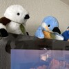 ぬいぐるみ道楽  鳥類に及ぶ。