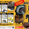 ［話題］STOP！両生類の乱獲・売買