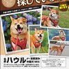横浜・迷子犬情報