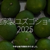 2936食目「自家製ユズゴショウ2025」今年も柚子胡椒を作りました。