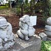 祖光院の彼岸花