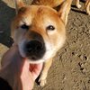 いい感じ。