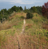 天王山古墳（国史跡・大岩山古墳群：桜生史跡公園）　滋賀県野洲市小篠原