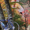 紅葉狩りサイクリング　大カエデからの霊松寺