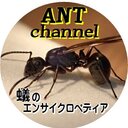 蟻のエンサイクロペディア | アリの飼育・観察・採集を趣味とするアマチュア蟻愛好家のブログ