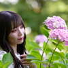紫陽花に咲く❣️ なるはちゃん その24 ─ 北陸モデルコレクション 2023.6.18 太閤山ランド ─