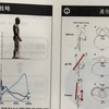 姿勢制御と歩行