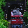 仙台に戻るED75-757