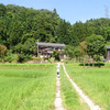 ド田舎あるある～ビルを見上げたら～