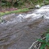 三陸渓流豪雨後#1