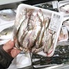 下処理が全部終わってて感動！中国河南省開封市で小魚（小白条カワイワシ）の南蛮漬けを作りました