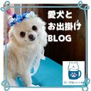 ドッグカフェ【わんすたCafe＆酒場】の犬とお出掛けBLOG