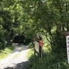 夏の箱根 湯坂路（鎌倉古道）をハイキング