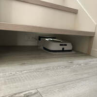 国内の女性、国外の女性