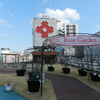 2012/03/13 小倉井筒屋屋上バラ園に行ってみた。