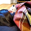暖かい日。子供のお昼寝中にちょっと自分時間。