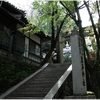 式内大社・天照大神高座神社写真館（５/２６）